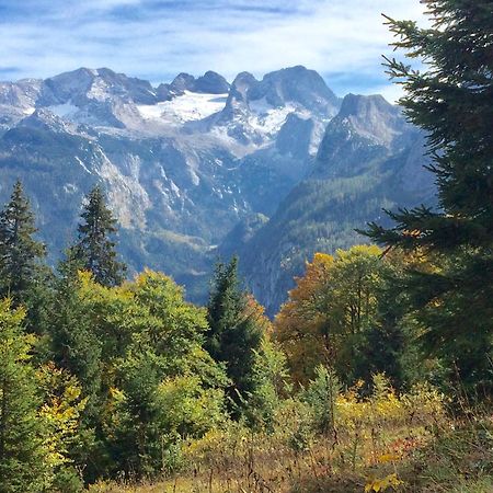 Apartament Dachstein Mountainview Gosau Zewnętrze zdjęcie