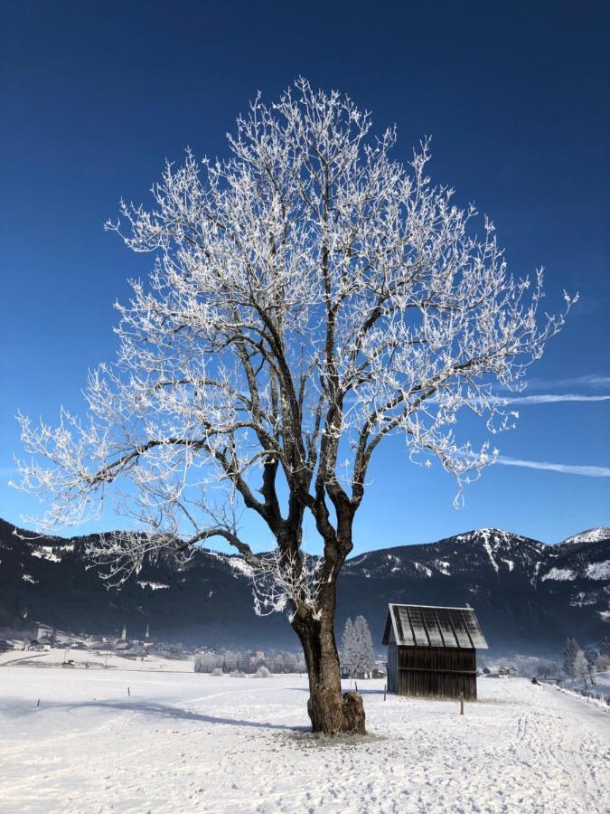 Apartament Dachstein Mountainview Gosau Zewnętrze zdjęcie