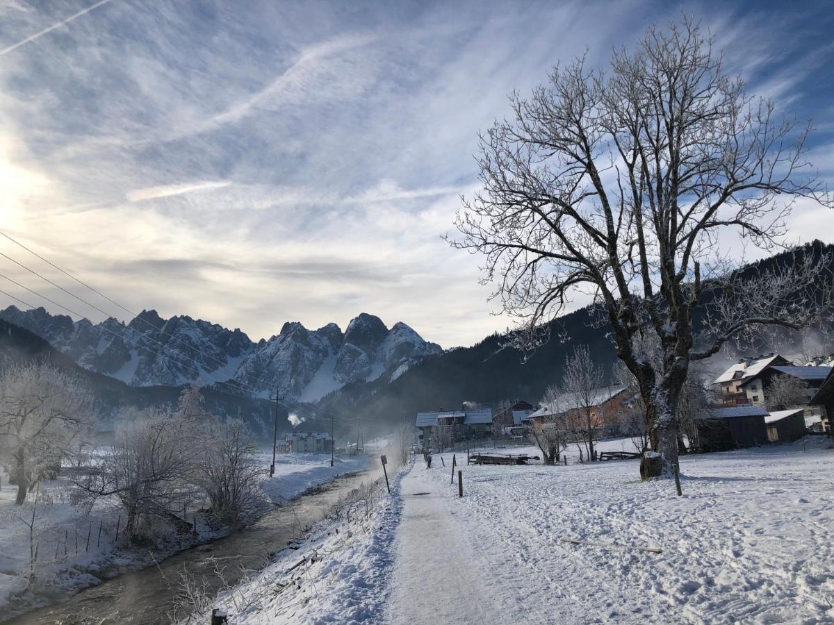 Apartament Dachstein Mountainview Gosau Zewnętrze zdjęcie