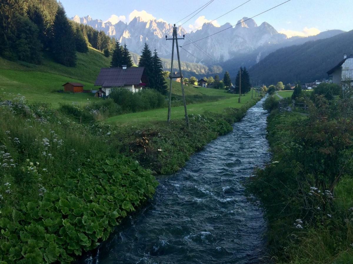 Apartament Dachstein Mountainview Gosau Zewnętrze zdjęcie