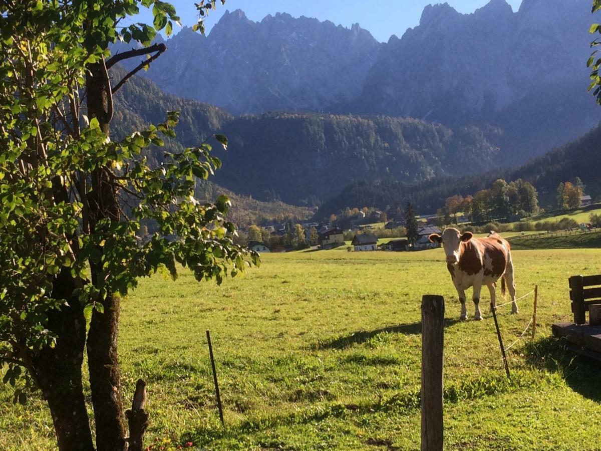 Apartament Dachstein Mountainview Gosau Zewnętrze zdjęcie