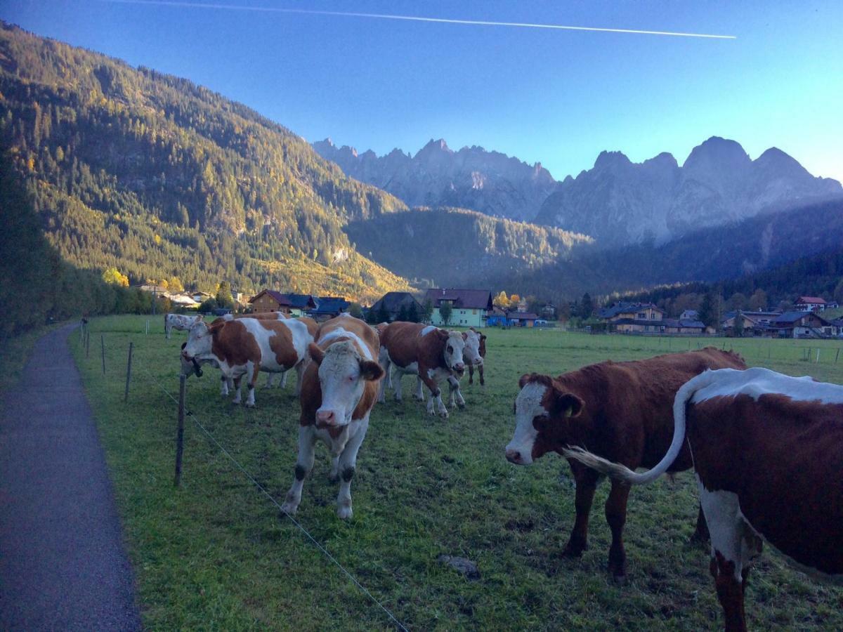Apartament Dachstein Mountainview Gosau Zewnętrze zdjęcie