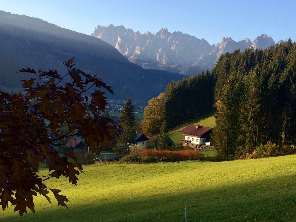 Apartament Dachstein Mountainview Gosau Zewnętrze zdjęcie