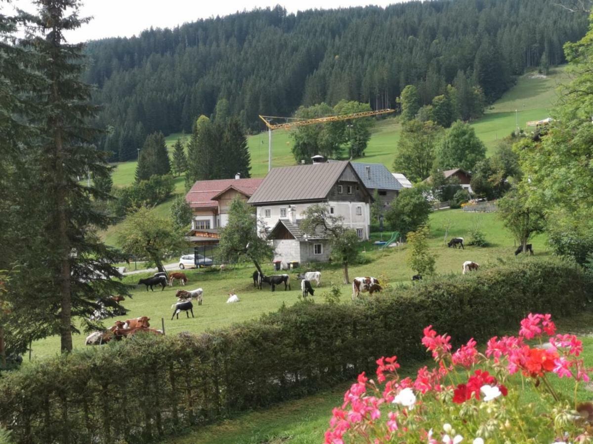Apartament Dachstein Mountainview Gosau Zewnętrze zdjęcie
